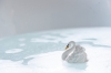 Natruba bath swan bath-min.jpg