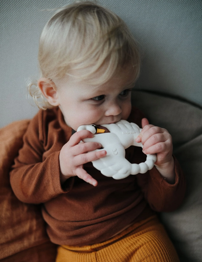 Natruba swan teether biting-min.jpg