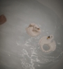 Natruba swan teether bathswan bath-min.jpg