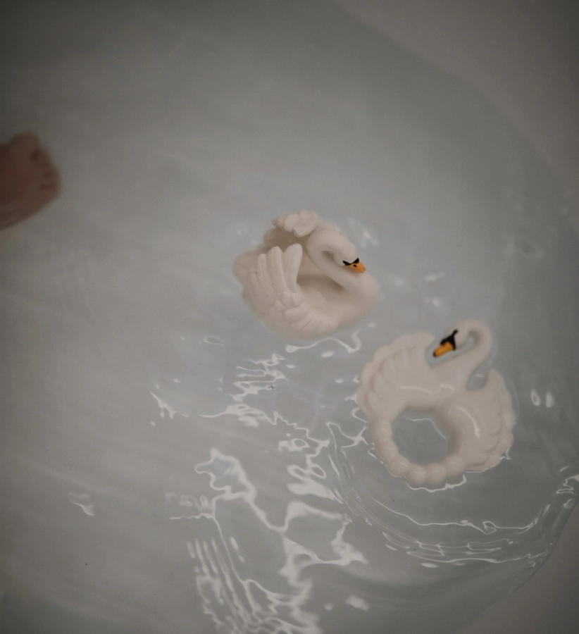 Natruba swan teether bathswan bath-min.jpg