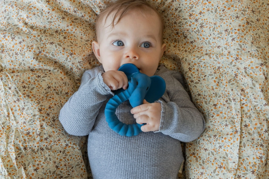 Natruba elephant teether girl-min.jpg